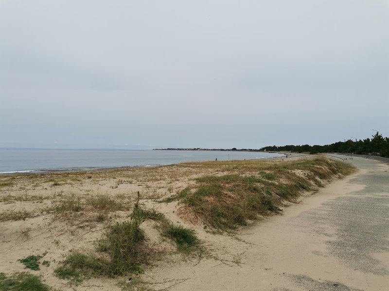 photo image