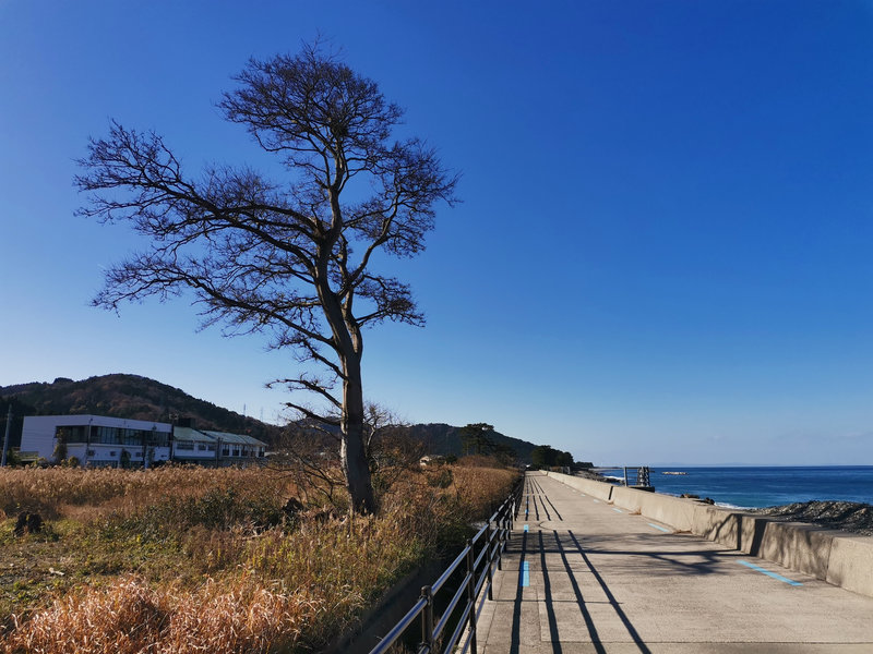 photo image