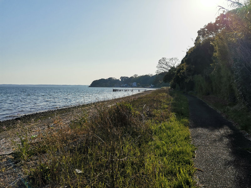 photo image