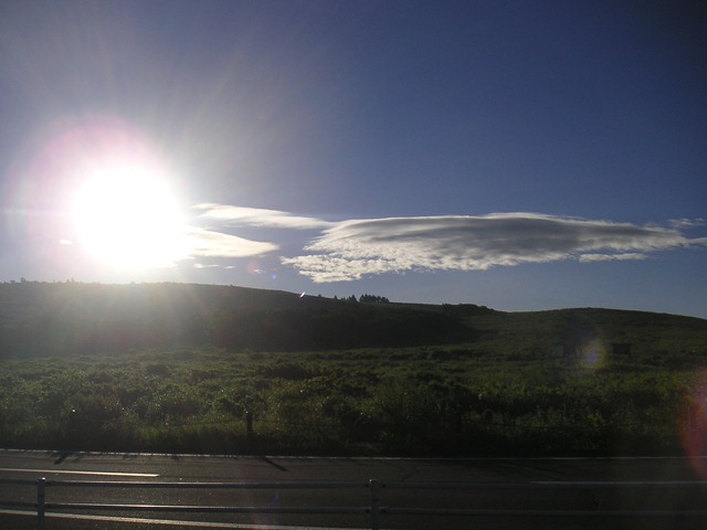 photo image