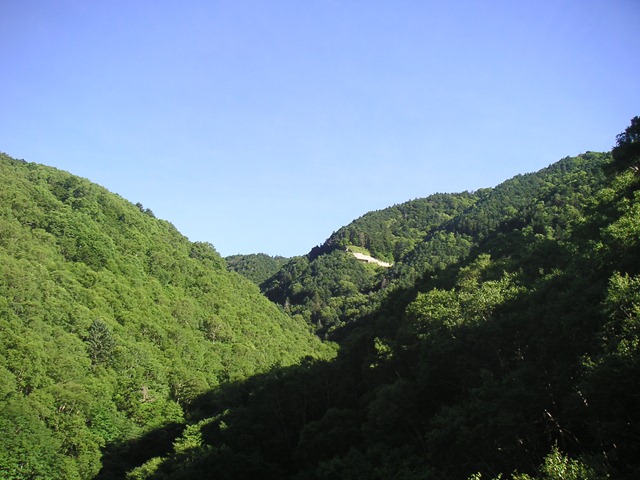 photo image