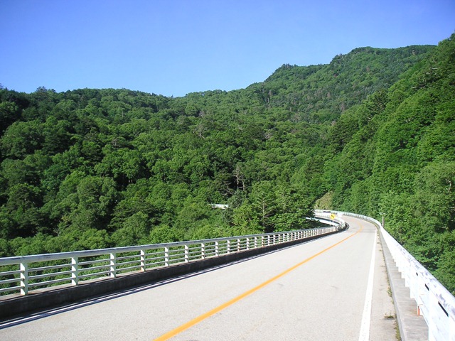 photo image