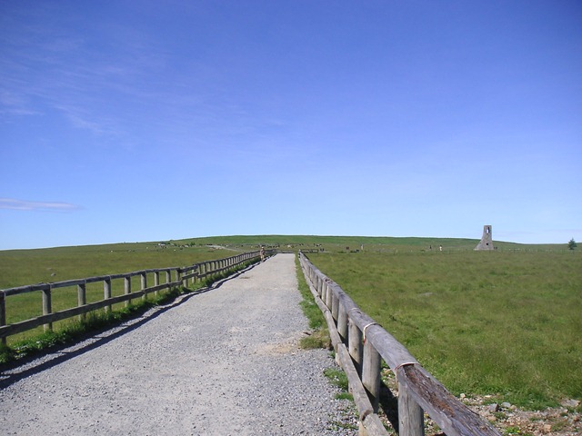 photo image