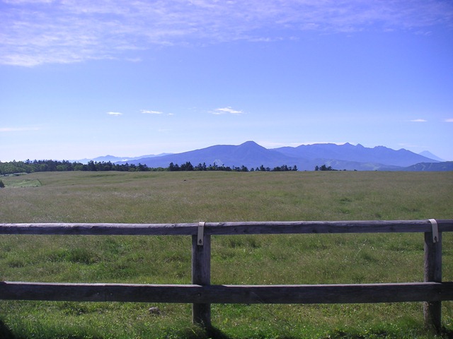 photo image