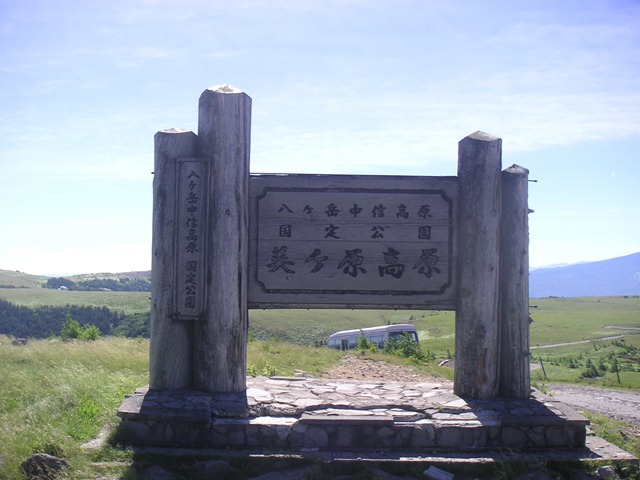 photo image
