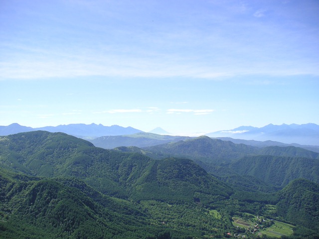 photo image