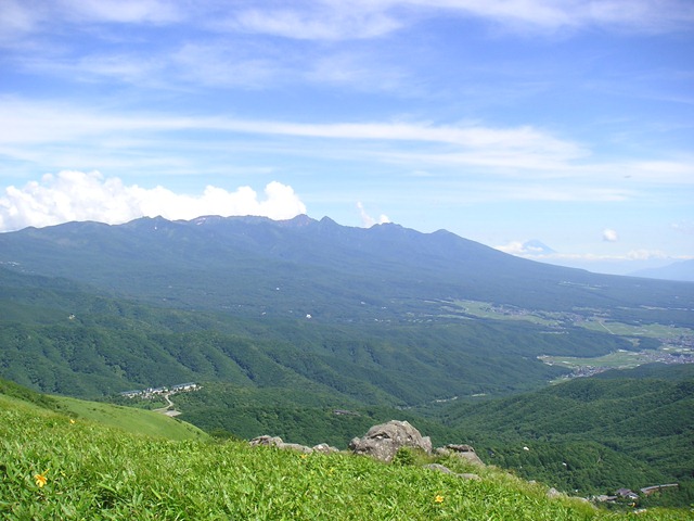 photo image
