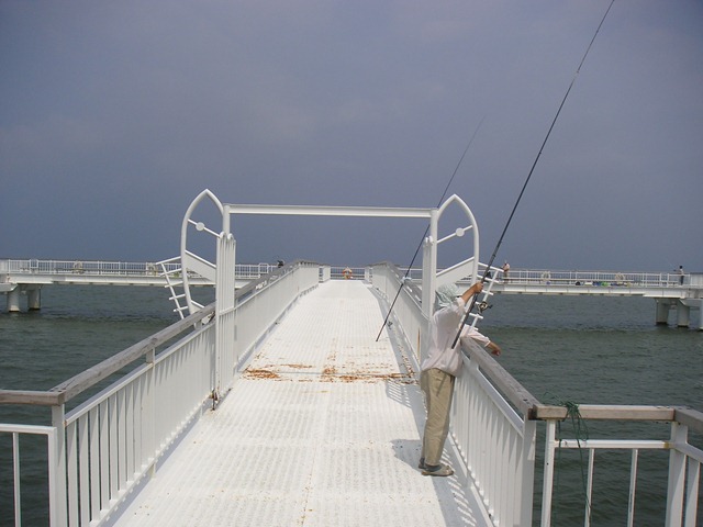 photo image
