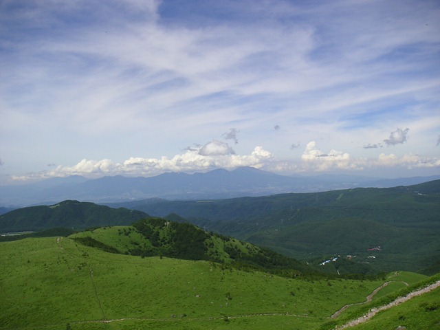 photo image