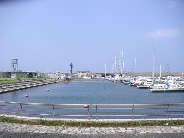 photo image