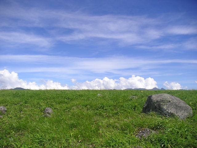 photo image