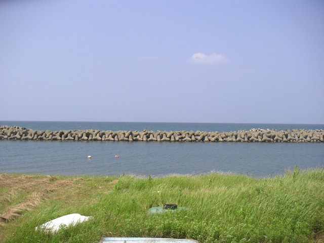 photo image