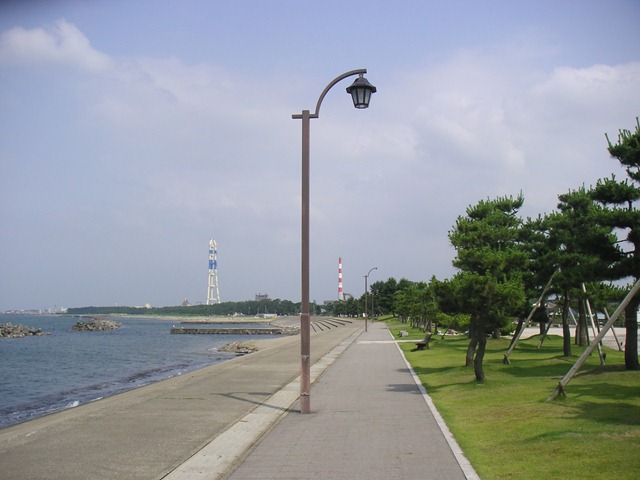photo image