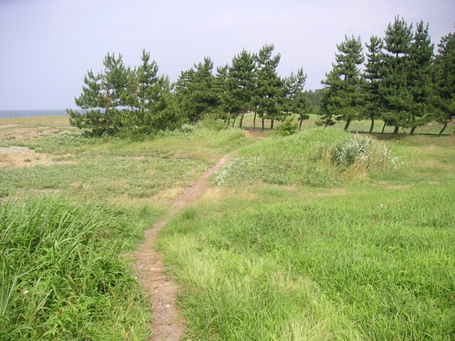 photo image