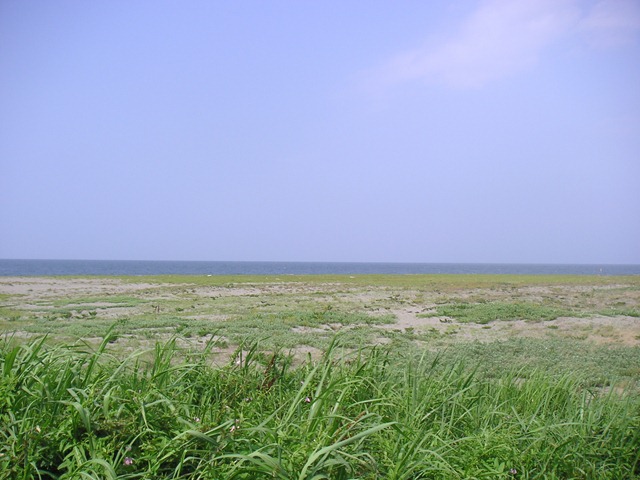 photo image