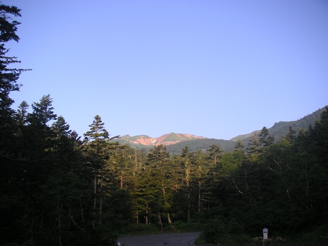 photo image