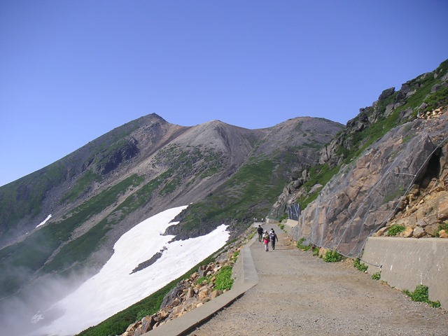 photo image