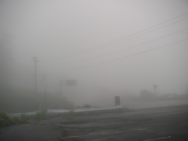 photo image