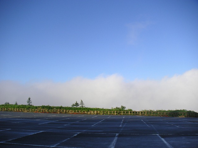 photo image