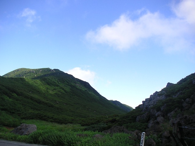 photo image