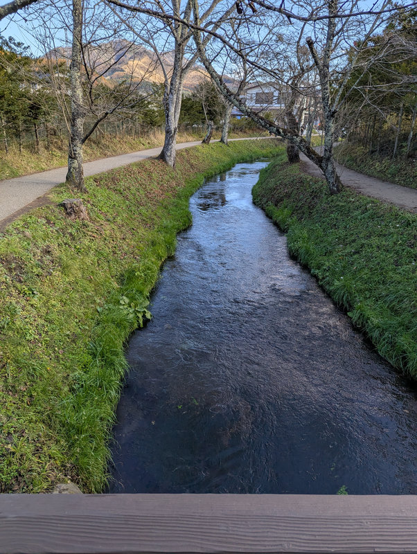 photo image