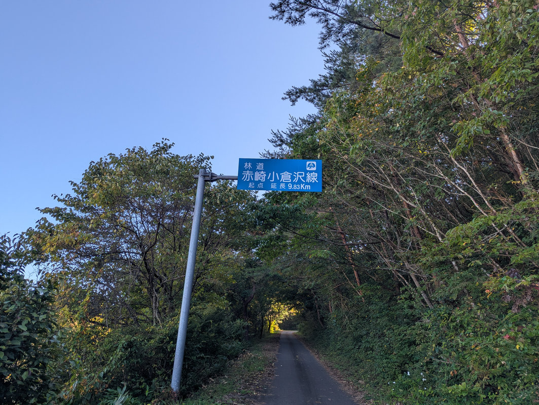 photo image