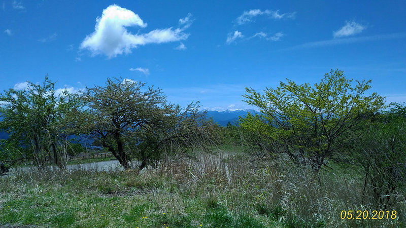 photo image