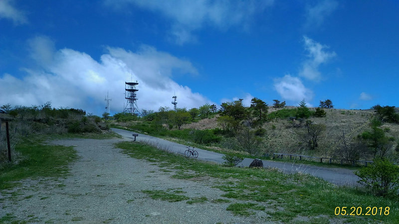 photo image