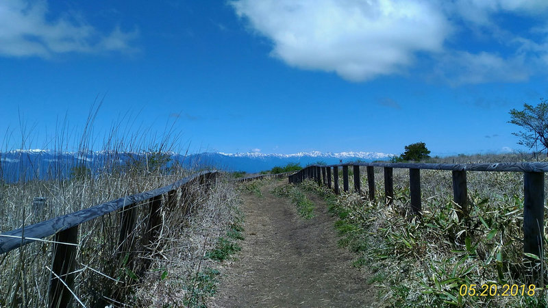 photo image
