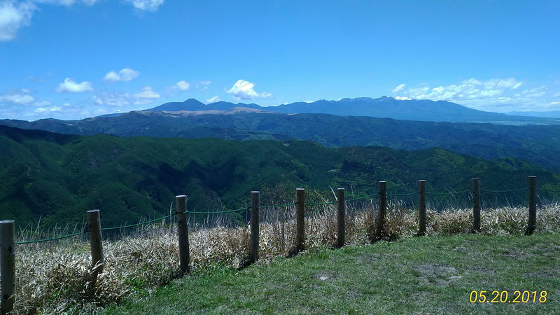 photo image