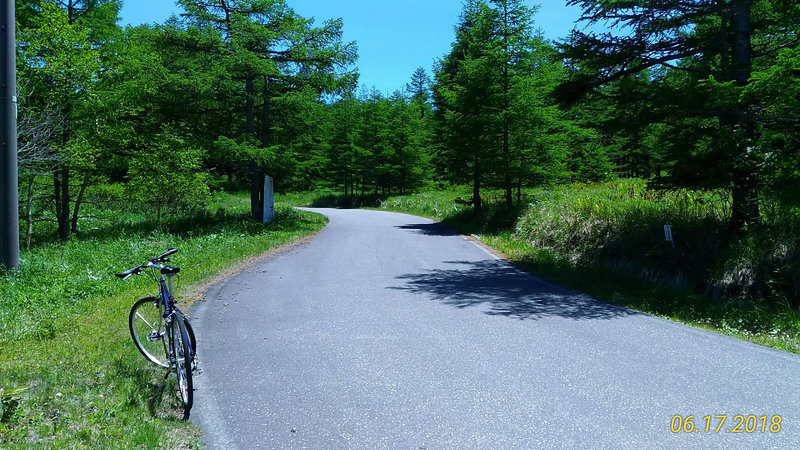 photo image